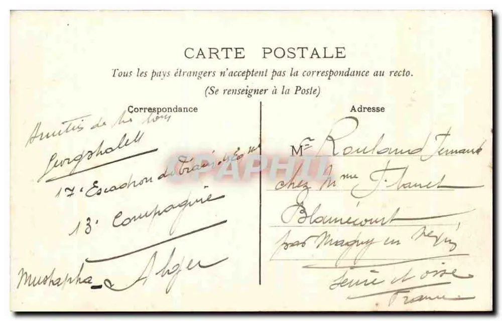 ALGER — Versuchsgarten (Bambusallee) — Verlag unbekannt, Nr. 84 - Rückseite
