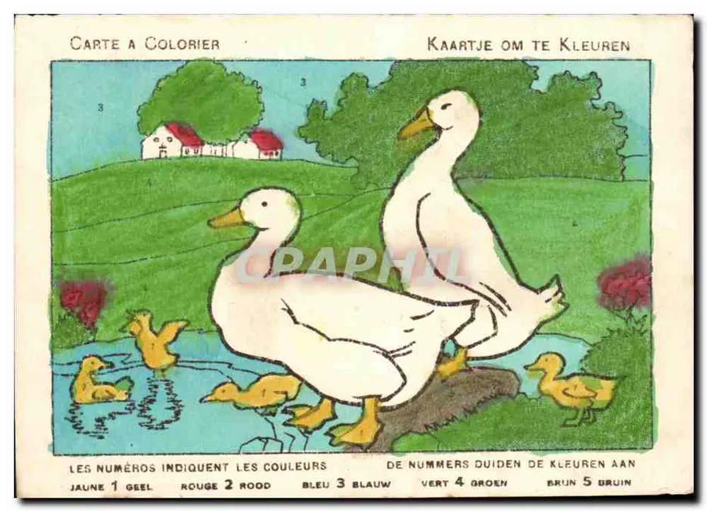 बत्तख और छोटे बत्तख — रंग भरने वाली कार्ड — एडिटर अदृश्य, श्रृंखला संख्या 3 - आगे