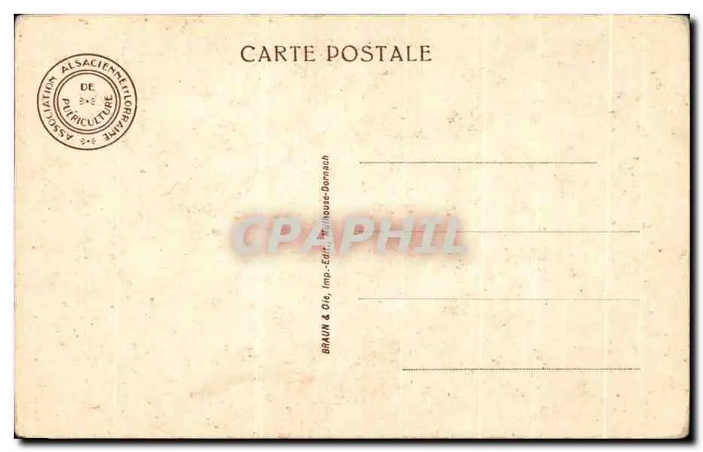 Femme nourricière — scène de vie rurale — éditeur BRAUN & Cie, Imp. Dornach - Verso