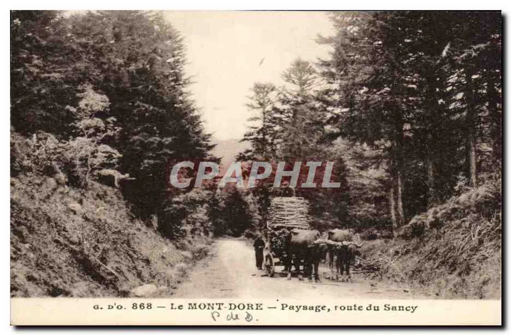 Le MONT-DORÉ — Landschaft, Straße des Sancy — a.d'o. 868 - Vorderseite