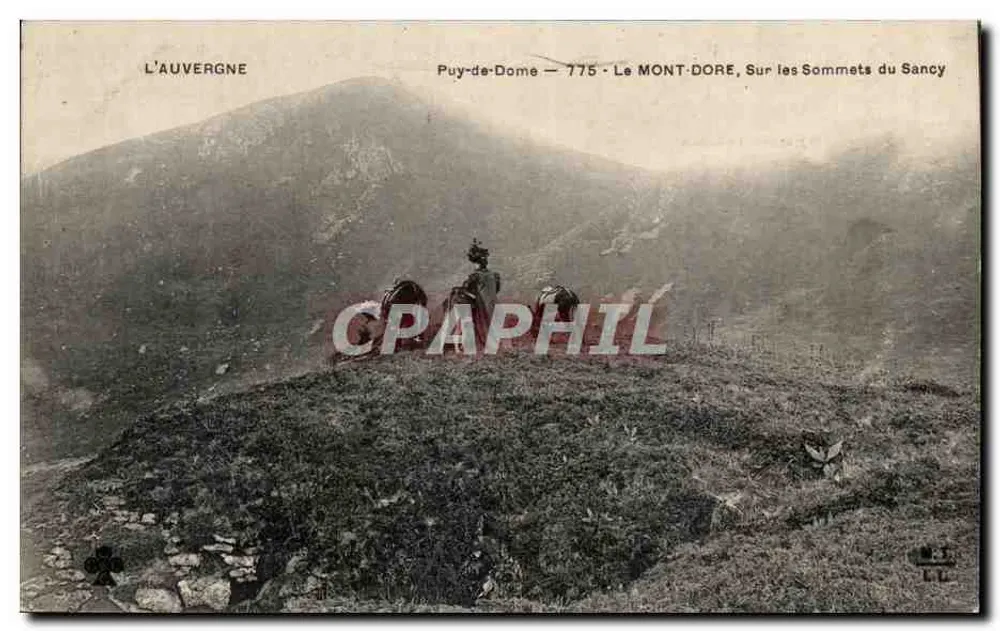 Mont Dore, auf den Gipfeln des Sancy — Auvergne — Puy-de-Dôme 775 - Vorderseite