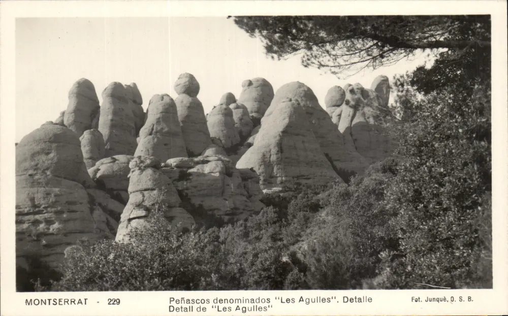 Montserrat - 229 — Detalhe das rochas « Les Agulles » — Fot. Junqué, Q. S. B. - Frente