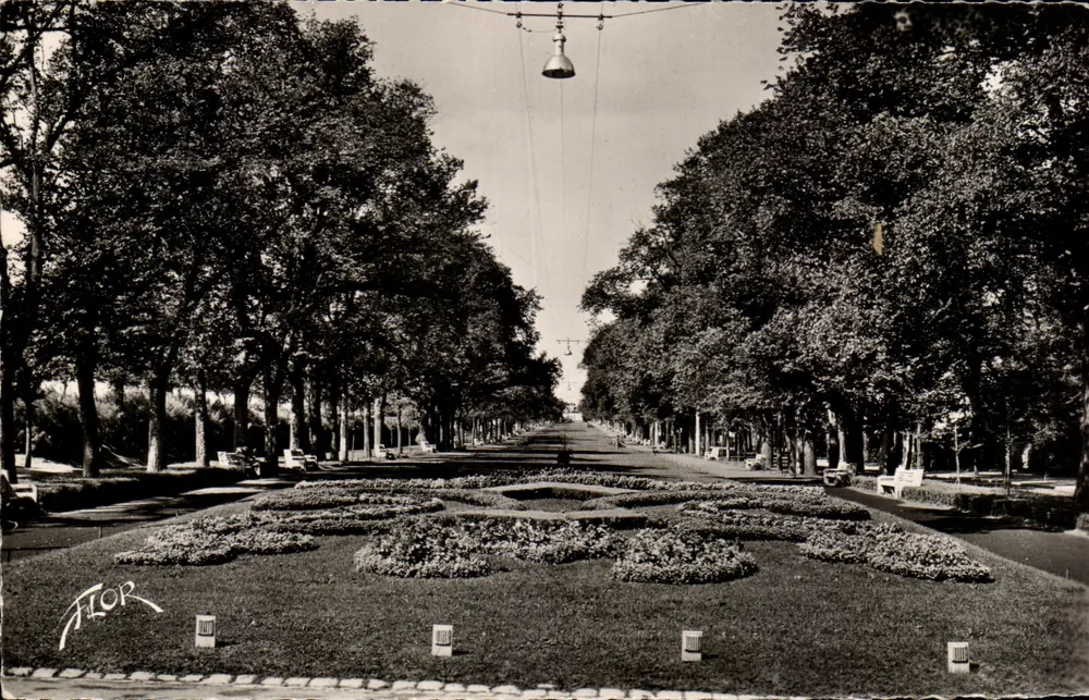 Las Avenues du Mail — La Rochelle — Editor FLOR, n° 8008 - Anverso