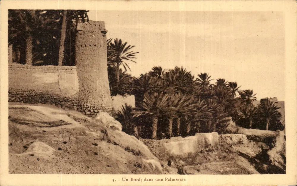 Ein Bordj in einer Palmenhain — Algerien — Verlag unbekannt, Serie 3 - Vorderseite