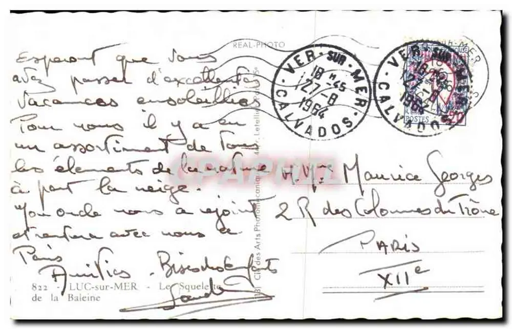 Esqueleto de baleia — Museu da Baleia — Lug-sur-Mer - Verso