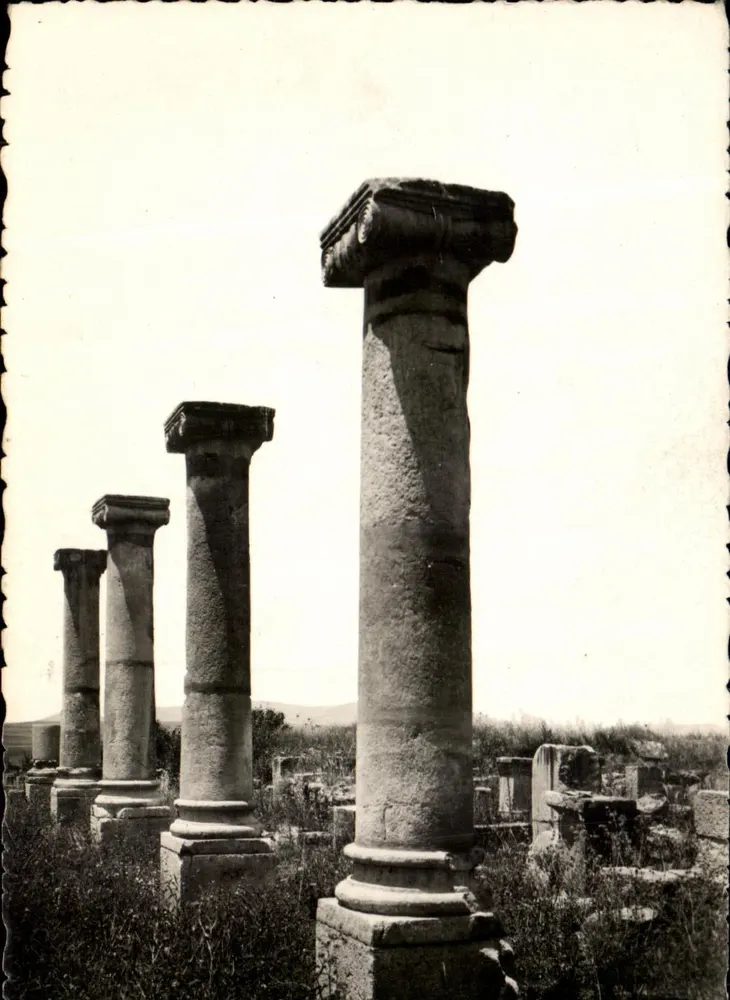 VOLUBILIS — Fassade des Palastes genannt Gordien — Edition La Cigogne, Nr. 687 - Vorderseite