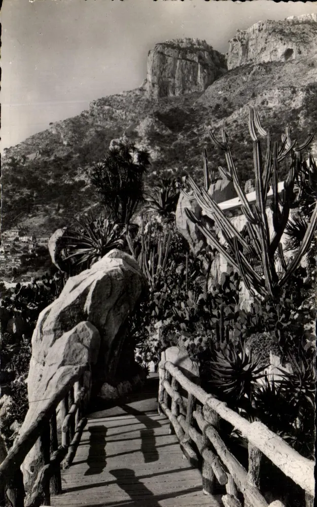 Exotischer Garten von Monaco — Ein Eckbereich des Gartens — HC. 152 — Verlag: Couronne du Plagon Méditerranée - Vorderseite