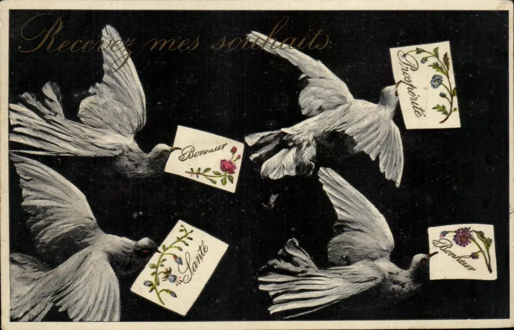 Pássaros carregando cartas de felicitações — Felicidade, Saúde, Prosperidade — editor não visível - Frente