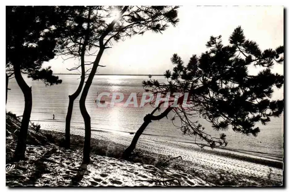 Bassin d'Arcachon — Uitzicht op de kust — Real-Photo, Parijs (151) - Voorkant
