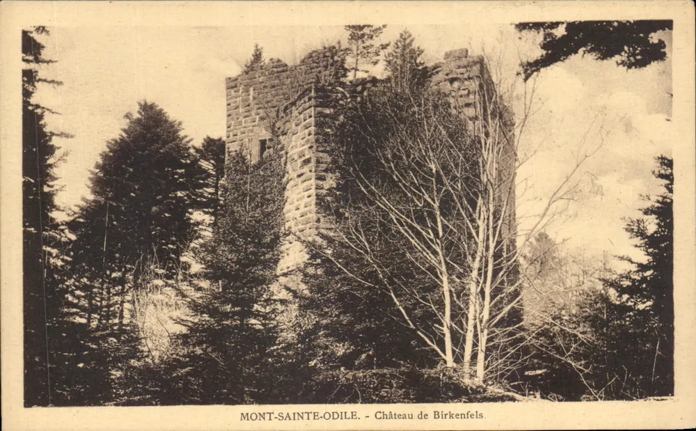Mont-Sainte-Odile - Castelo de Birkenfels - Frente