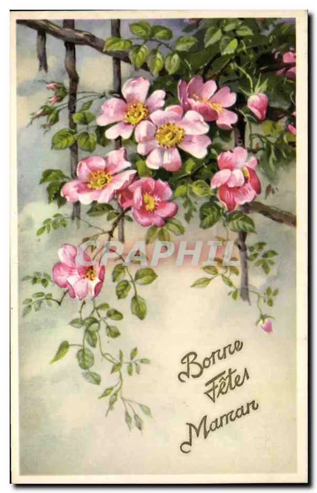 Kletterrosen — Frohe Muttertag — Verlag B. SPECIAL n° 6812 - Vorderseite