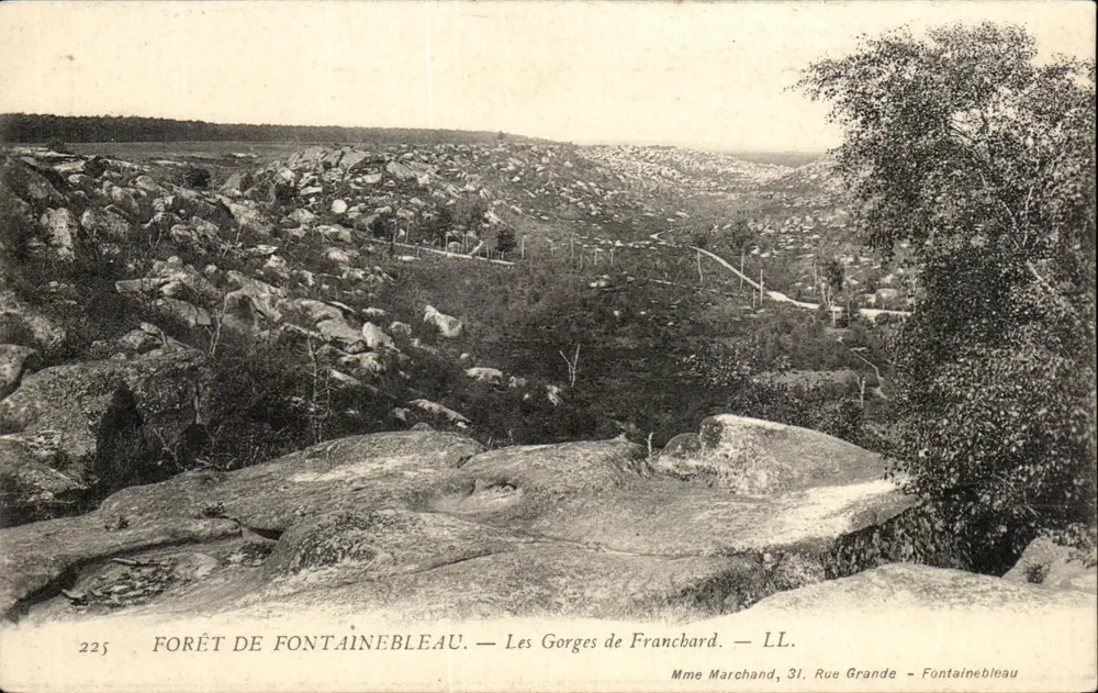 Forêt de Fontainebleau — Les Gorges de Francbard — Mme Marchand, 31 Rue Grande - Fontainebleau - Vorderseite