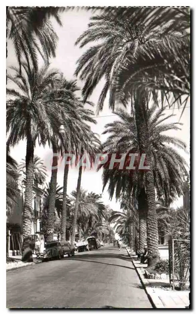Avenida da Bélgica — Hyères (Var) — Edit. « A Garça » de Milllo Monaco - Frente