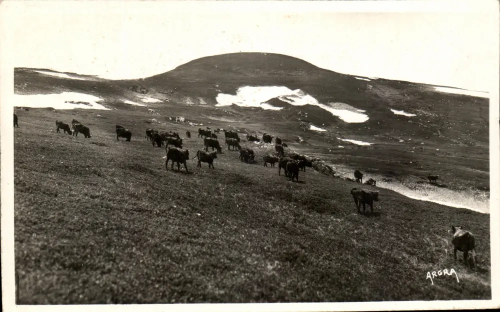 Le Plomb du Cantal — 1858 m — ARGRA - Frente