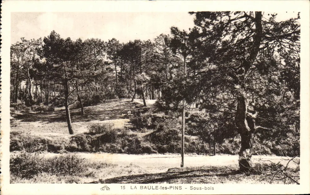 La Baule-les-Pins — Subfloresta — Editor não identificado, n° 15 - Frente