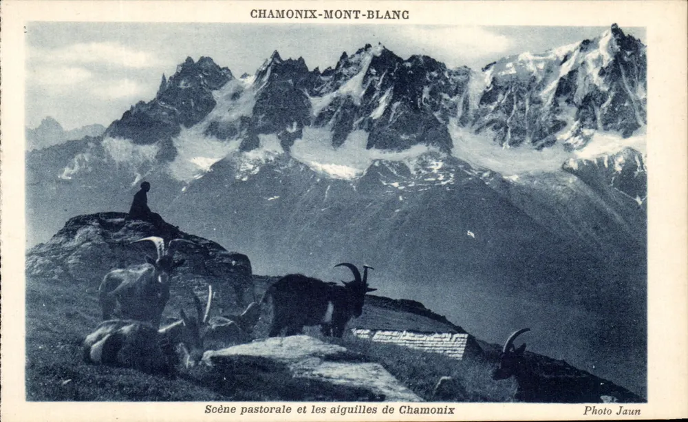 Landschaftliche Szene und die Spitzen von Chamonix — Chamonix-Mont-Blanc — Photo Jaun - Vorderseite