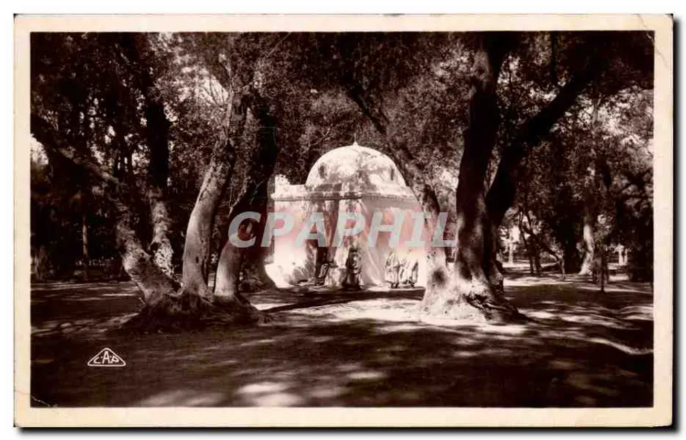 Domo en un parque arbolado — Argelia — Editor C.A.S. - Anverso