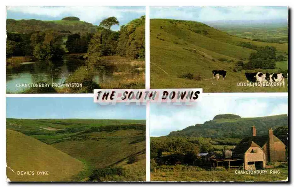 Die South Downs — Chanctonbury, Ditchling Beacon, Devil's Dyke, Chanctonbury Ring — Verlag J. Salmon Ltd. - Vorderseite