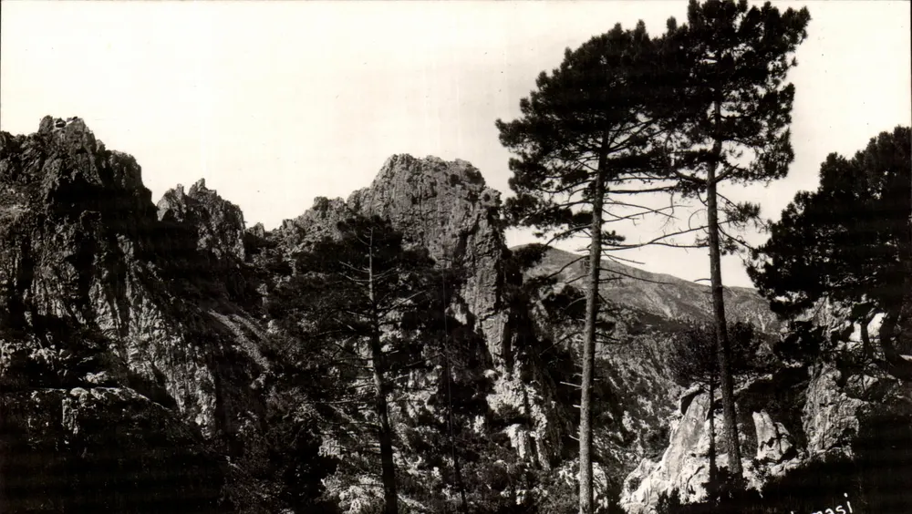 Calanches de Piana — Berglandschaft mit Kiefern — Ausgabe Tomasi n°1640 - Vorderseite