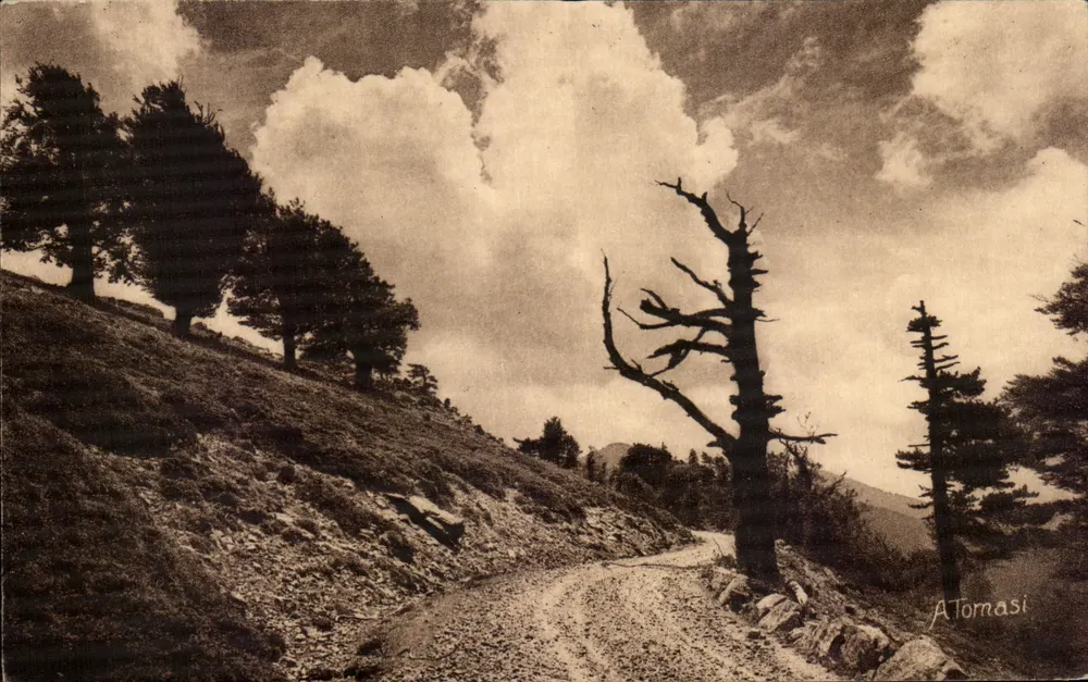 Col de Vergio — visão da estrada e do paisagem — Edição A. Tornasi, n° 1491 - Frente