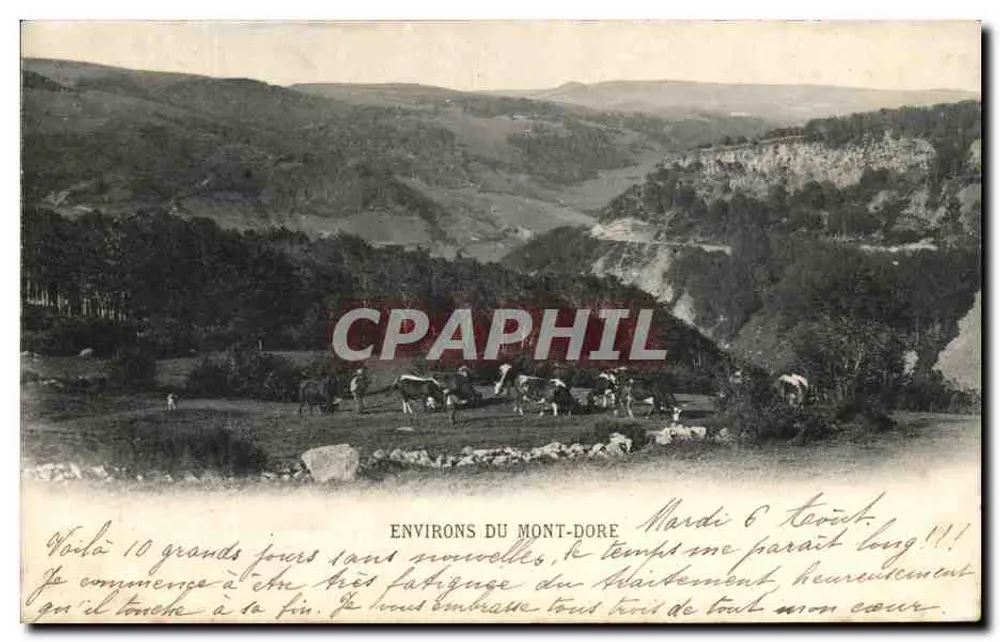 Arredores do Mont-Dore — vale com vacas e paisagem montanhosa — editor não visível - Frente