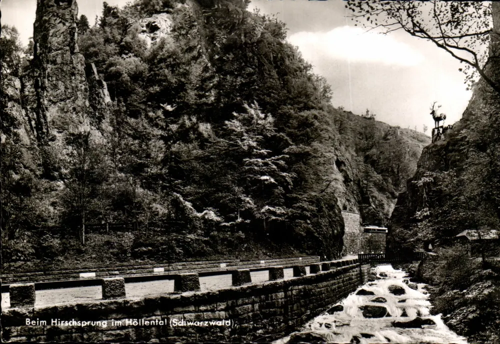 Hirschsprung im Höllental (Schwarzwald) — vista del cañón con estatua de ciervo — Editor: Verlag Erwin Dürda, Freiburg im Breisgau, n° 37/44 - Anverso