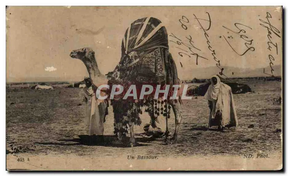 Un Bassour — scène de désert avec dromadaire orné — ND. Phot. n° 493 A - Frente