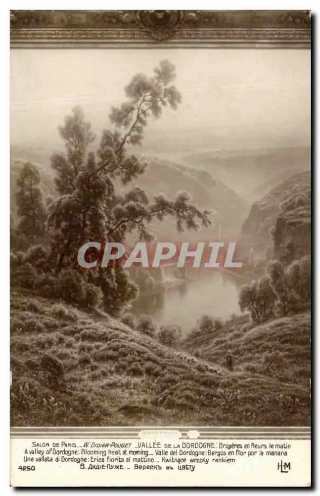 Vallée de la Dordogne — Bruyères en fleurs le matin — W. Didier-Prouzet — n° 4250 - Recto
