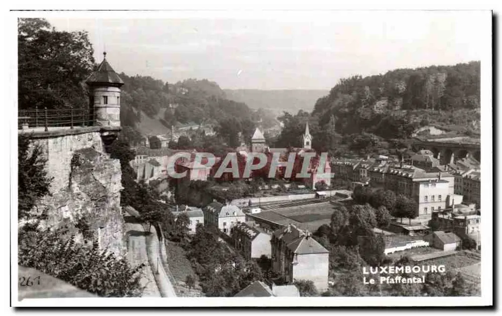 O Pfaffental — vista panorâmica — editor Nic. Sibon, n°267 - Frente