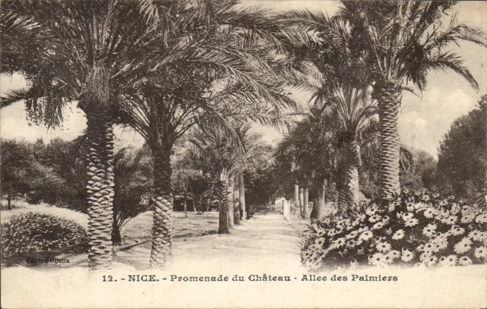 NICE. - Schlosspromenade - Avenue der Palmen — Opheta-Ausgabe, Nr. 12 - Vorderseite