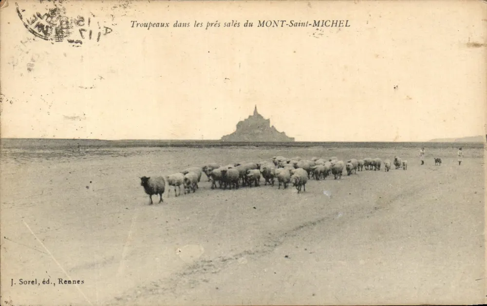 Schafe in den Salzmooren von MONT-SAINT-MICHEL — J. Sorel, Verlag Rennes - Vorderseite