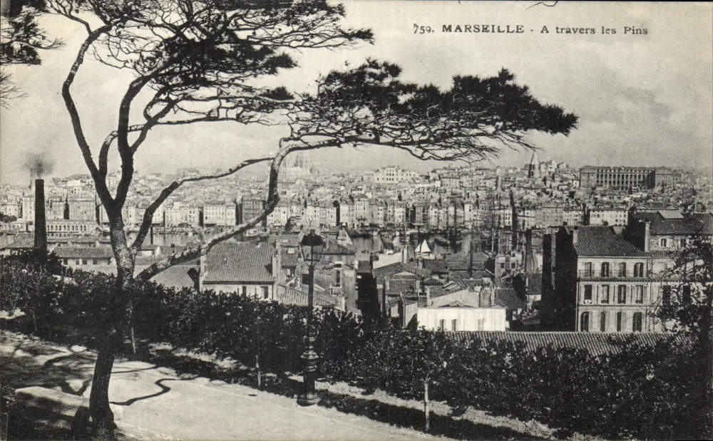 Marseille - Através dos Pinheiros — vista panorâmica — Fototipia Marseilhã, J. G. L. R., n° 759 - Frente