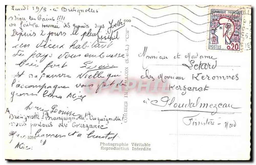Jumento — em um paisagem de pântano — Cim - Verso