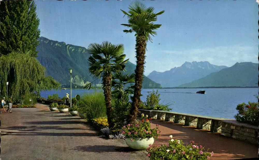 Montreux. Der Quai und die Dents-du-Midi — Fotograf Wehrli S.A., Zürich — Nr. 3894 - Vorderseite