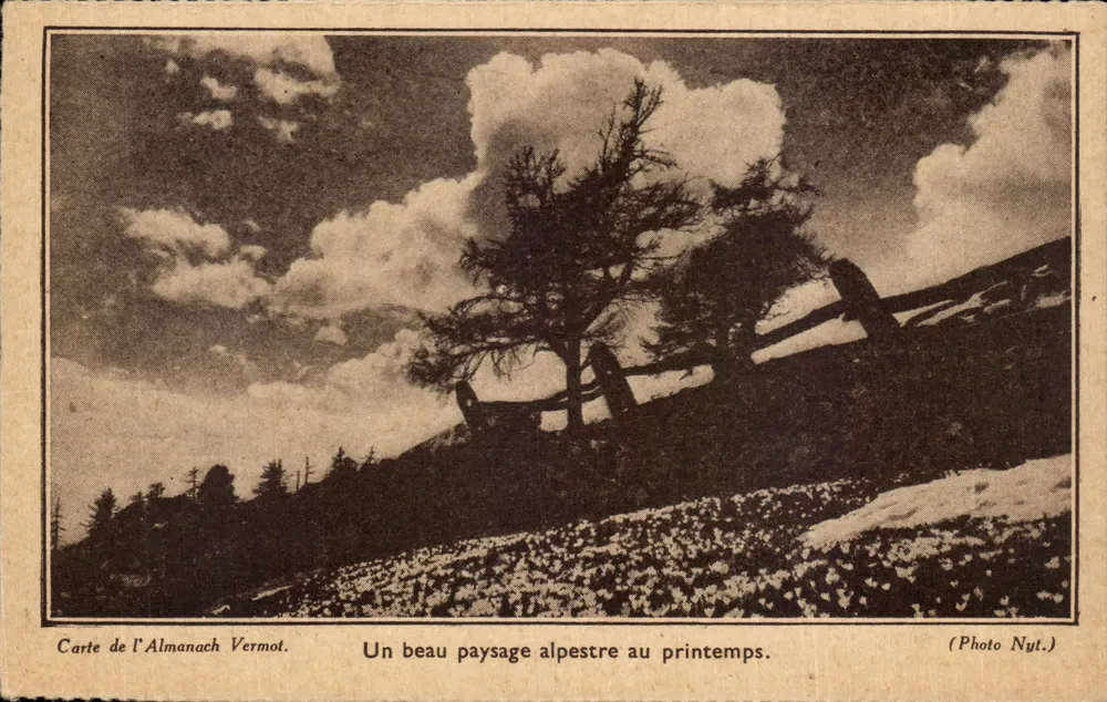 Alpine Landschaft im Frühling — Almanach Vermot — Photo Nyl. - Vorderseite