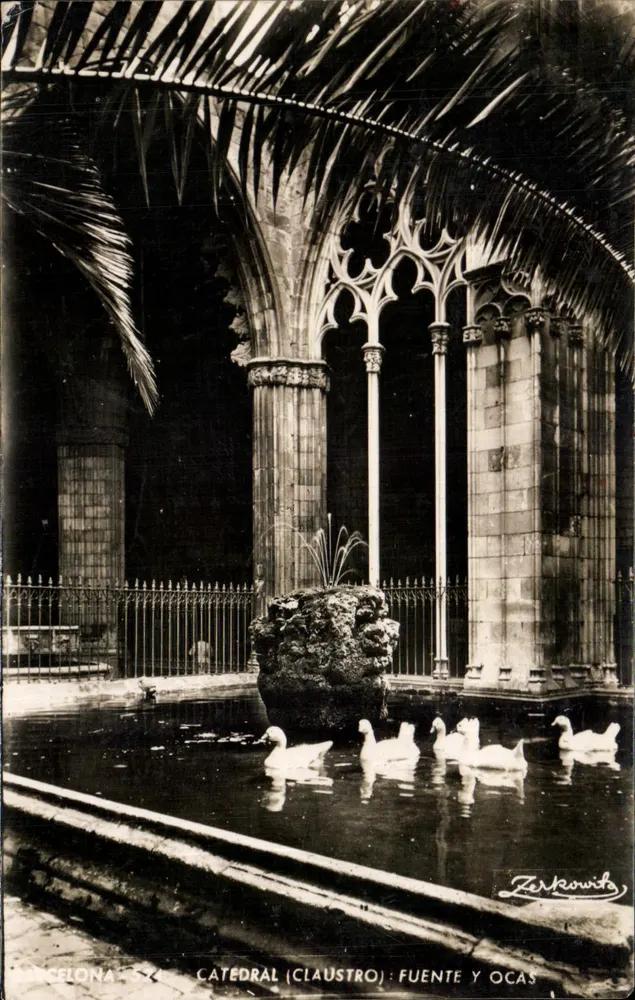 Barcelona - Kathedrale (Clausstro) : Brunnen und Gänse — Zerkowitz - Vorderseite