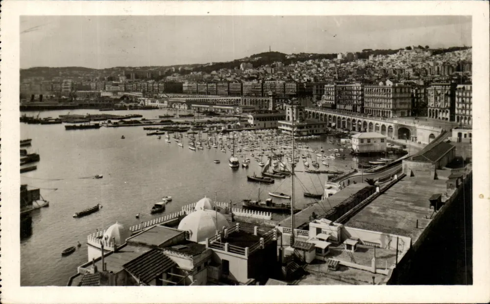 Algier — Allgemeiner Blick auf den Hafen — Antike Ansichtskarte n°294 - Vorderseite