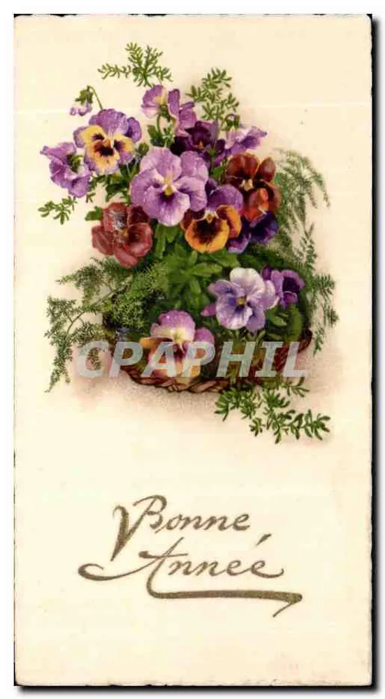 Büschel von Gänseblümchen — Frohe Neujahr — Verlag nicht sichtbar - Vorderseite
