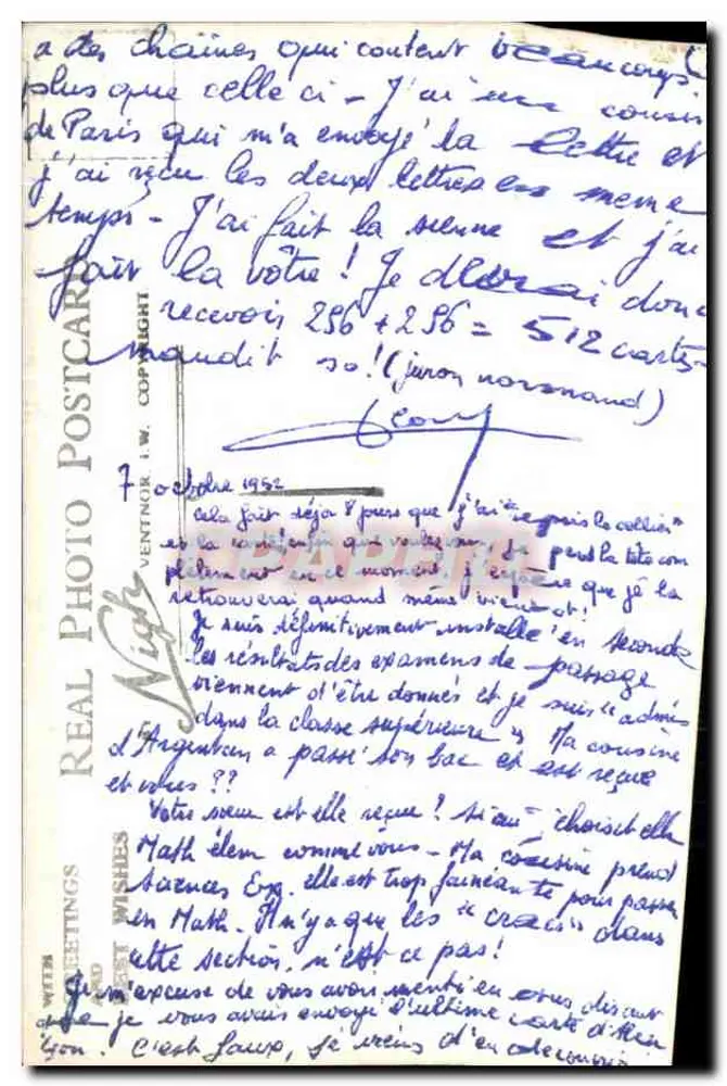 In der Châtaigne Shanklin — Ansicht des Weges und der Brücke — Verlag I.W. (n° 491) - Rückseite