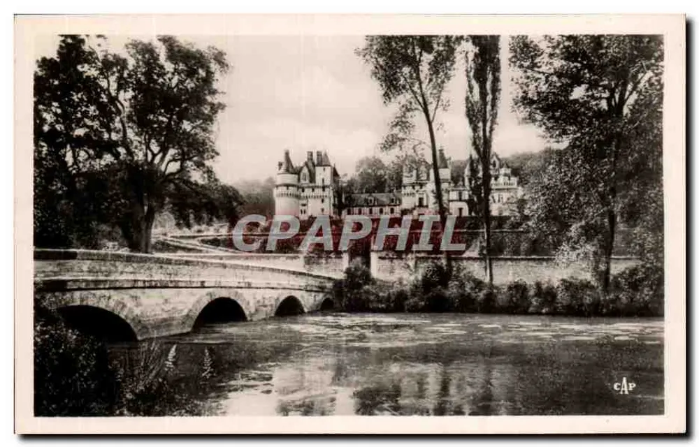 O Castelo e o Indre (Nordeste) — Rigny-Usse — editor C.A.P. n° (48) - Frente