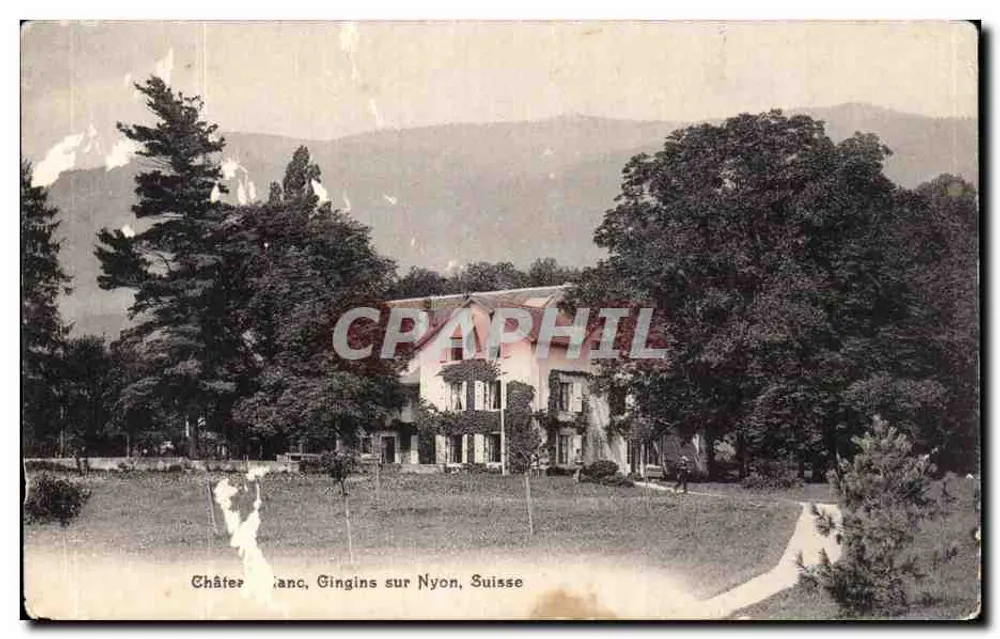 Château Blanc, Gingins sur Nyon, Suisse — vue d'un bâtiment entouré d'arbres avec montagnes en arrière-plan — éditeur non visible - Frente