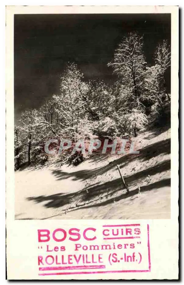 Les Pommiers — Rolleville (S.-Inf.) — BOSC CUIRS - Recto