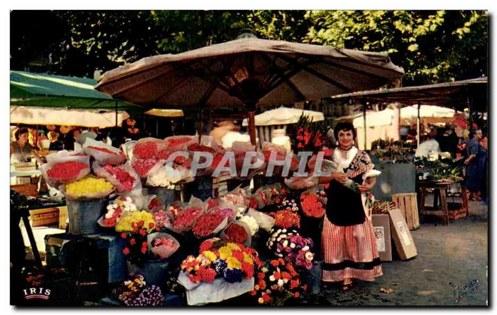 Mercado de Flores em Nice — Costa Azul — editor IRIS - Frente
