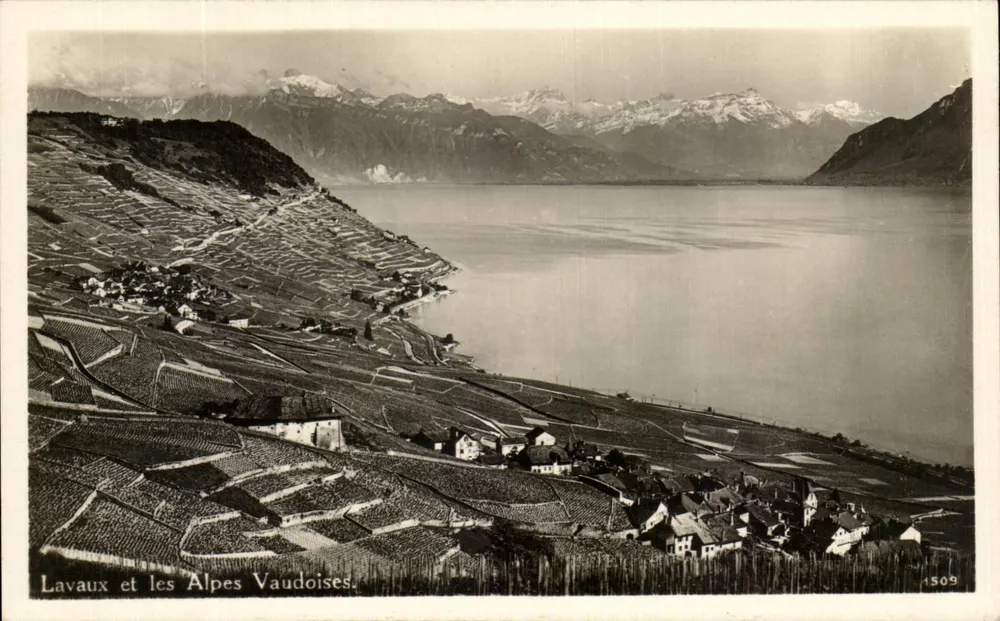 Lavaux e as Alpes Vaudenses — Edições Bar, n° 1509 - Frente