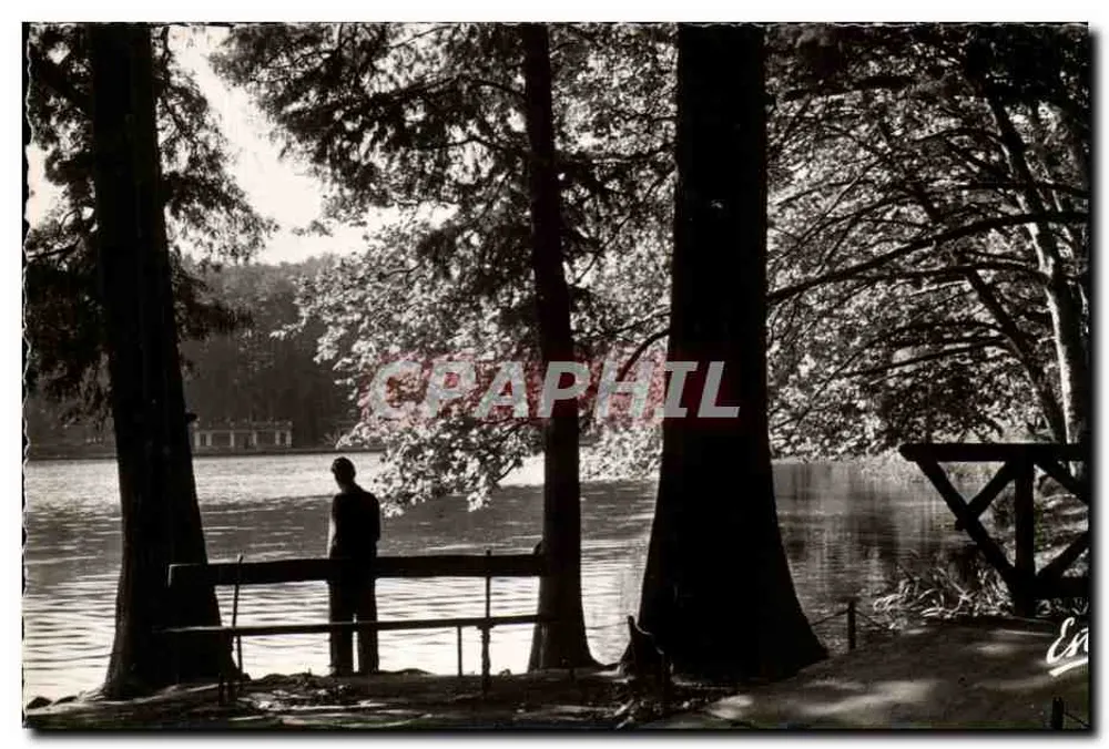See der Kopf des Goldes - Seeufer — Lyon — Verlag: Photo Véritable, n° 520 - Vorderseite