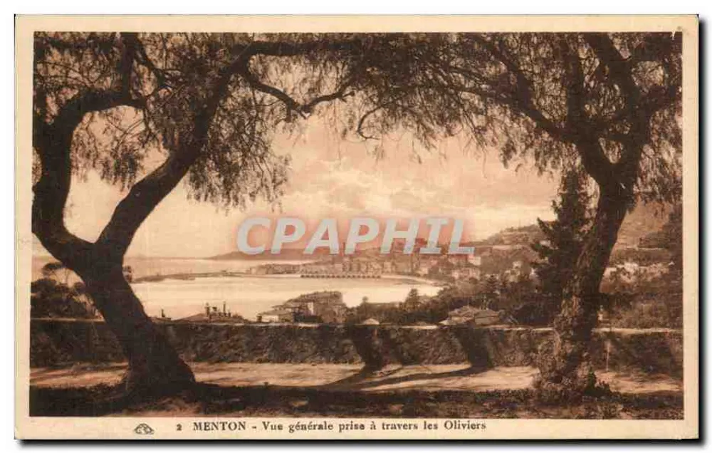 Menton - Allgemeiner Blick durch die Olivenbäume — Nr. 2 - Vorderseite