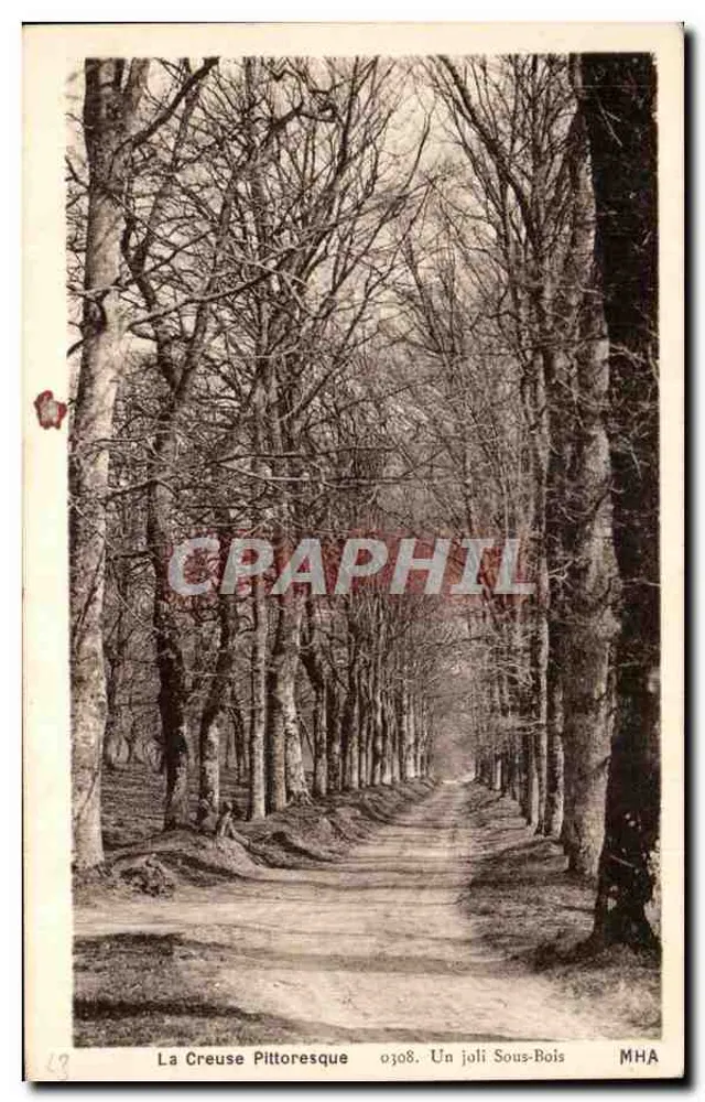 La Creuse Pittoresque — Un joli Sous-Bois — MHA, n° 0308 - Vorderseite