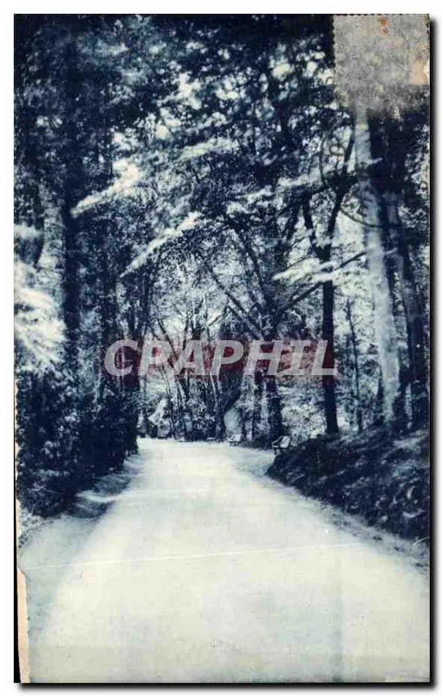 Dante-Allee — Thermalbad Bagnoles-de-l'Orne — Verlag 'Souvenirs de Bagnoles' - Vorderseite