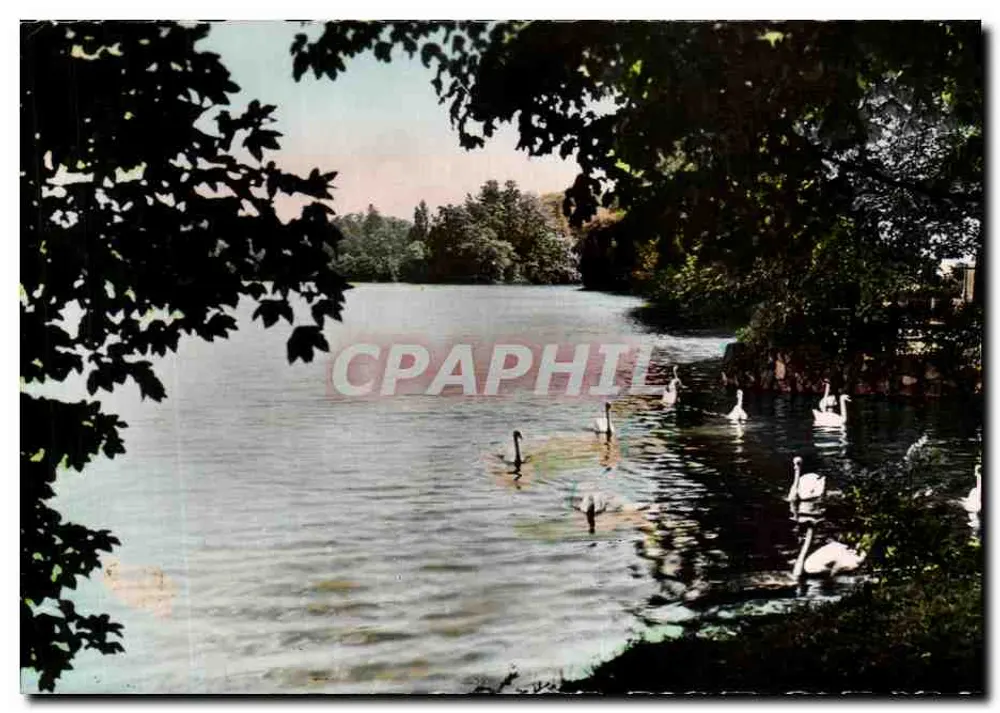 LYON - Parc de la Tête d'Or — Die Schwäne — Réal-Photo, Paris - Vorderseite