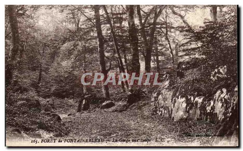 Forêt de Fontainebleau — La Gorge aux Loups — L.C. - Vorderseite